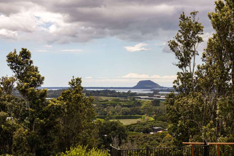 6j Ainsworth Road Wairoa_18