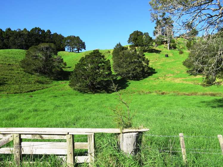 664 Whananaki South Road Whananaki_6