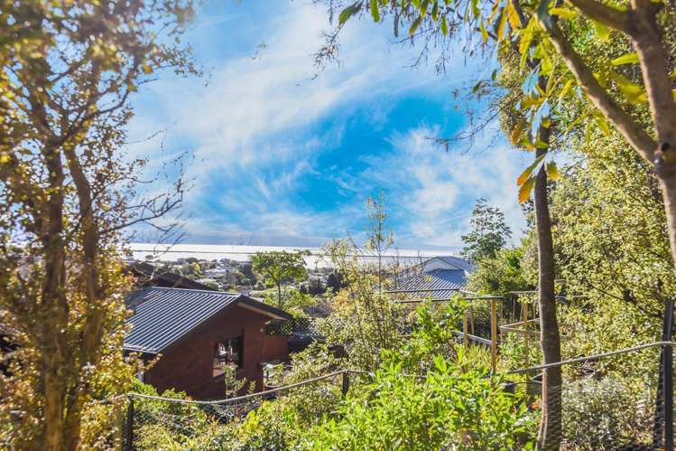 79a Dodson Valley Road Atawhai_1