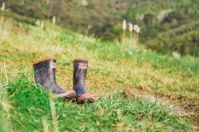 88 Waere Valley Lane Warkworth_2