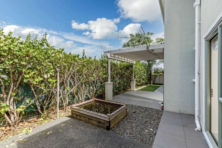 9 Hatfield Place Albany Heights_7