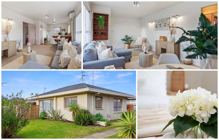 48 Concord Avenue Mount Maunganui_12