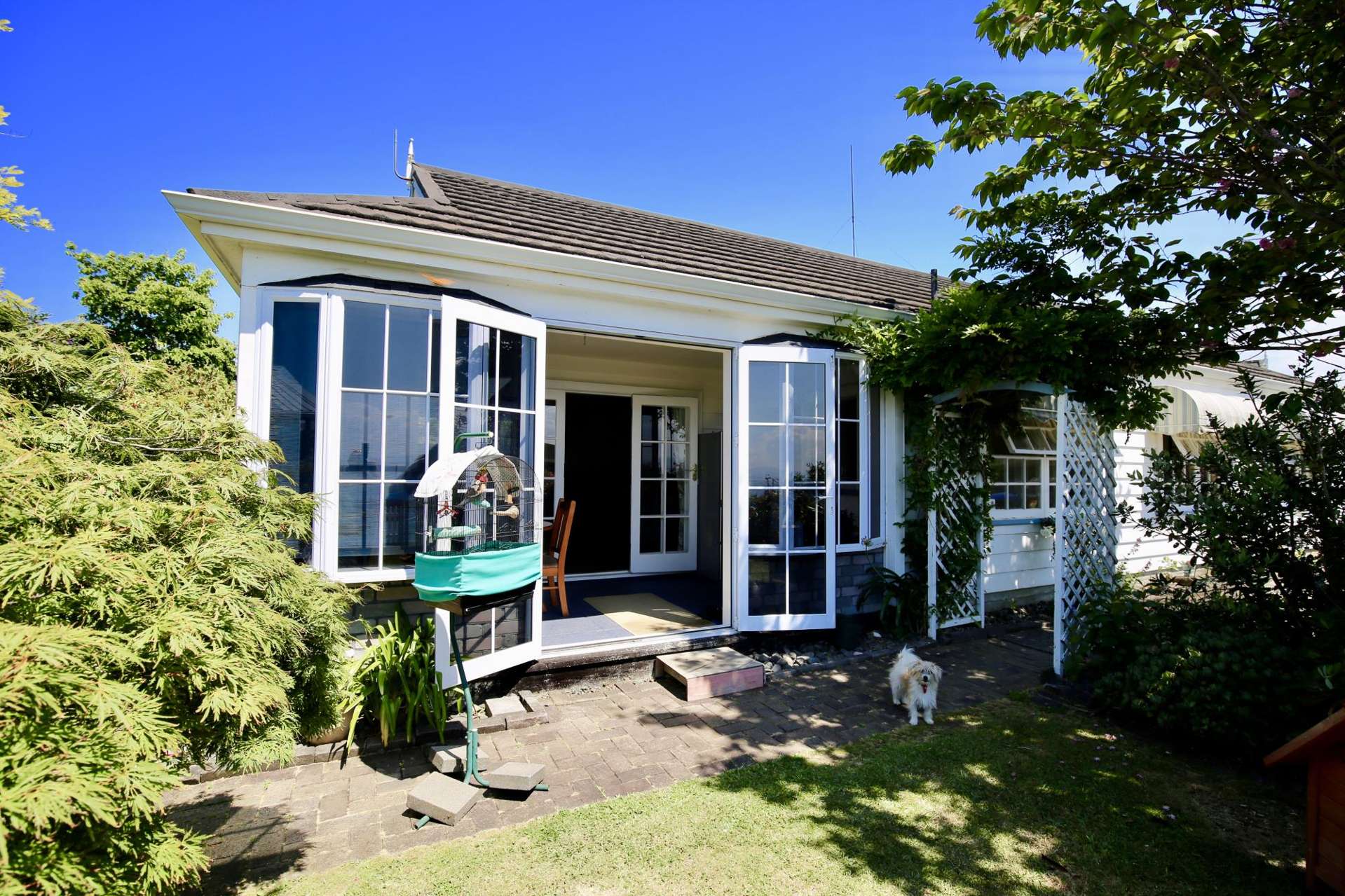 33 Bramley Drive Omokoroa_0