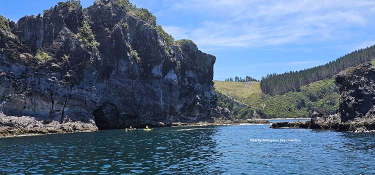 284 Matapaua Bay Road Opito Bay_32