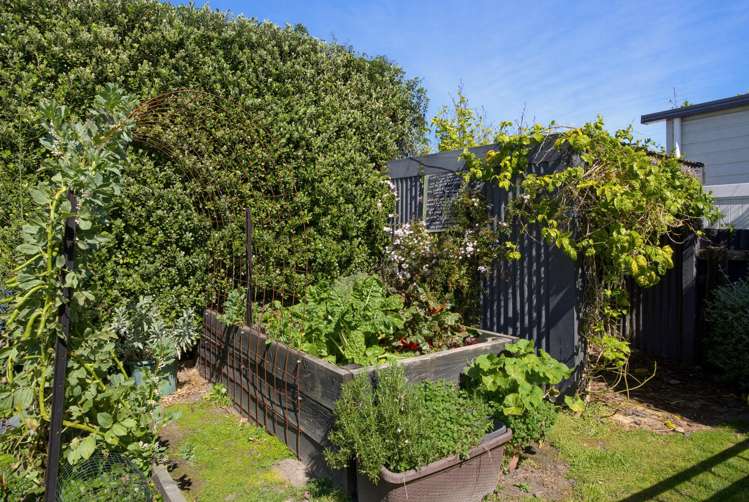 108 Russell Street Whataupoko_37