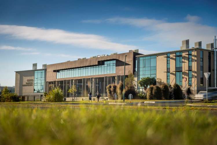 19 Ballyliffin Drive Flat Bush_5