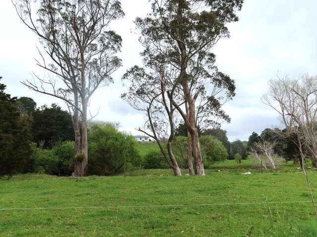 37 Donnellys Station Road Dargaville_4