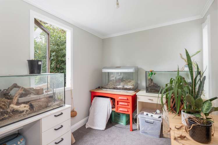 14 Kurupae Road Hilltop_5