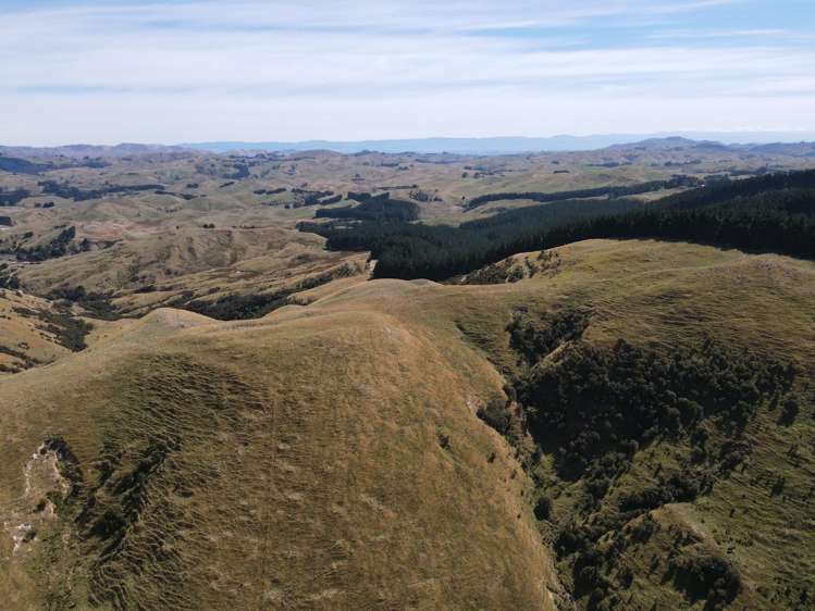 360 Speedy Road Dannevirke_8