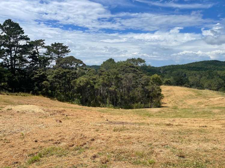 51 Drury Lane Dairy Flat_11