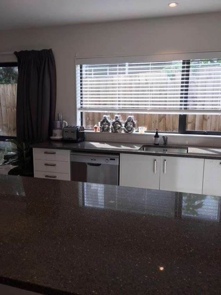 10 Hamon Avenue Mount Roskill_2