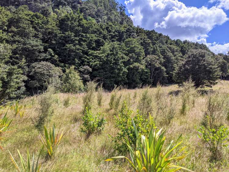 634 West Coast Road Makarau_17