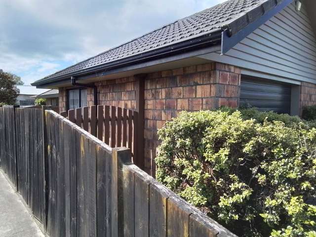 215 Park Road Hokowhitu_1