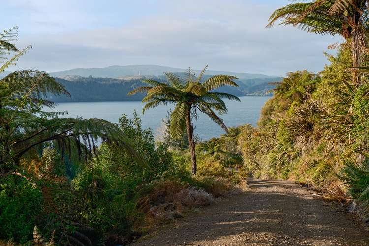 364 Maniatutu Road Rotoiti_32