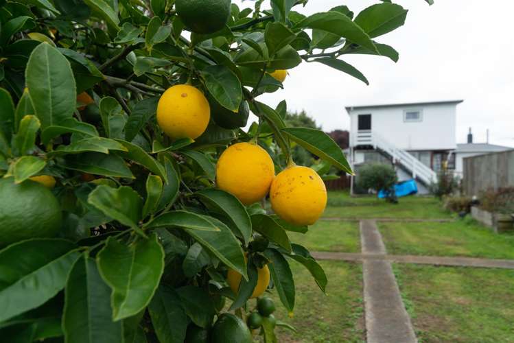 10 Potaka Street Marton_29