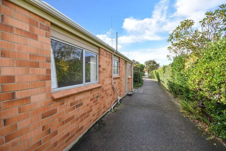 84b Hargest Crescent Saint Clair_11