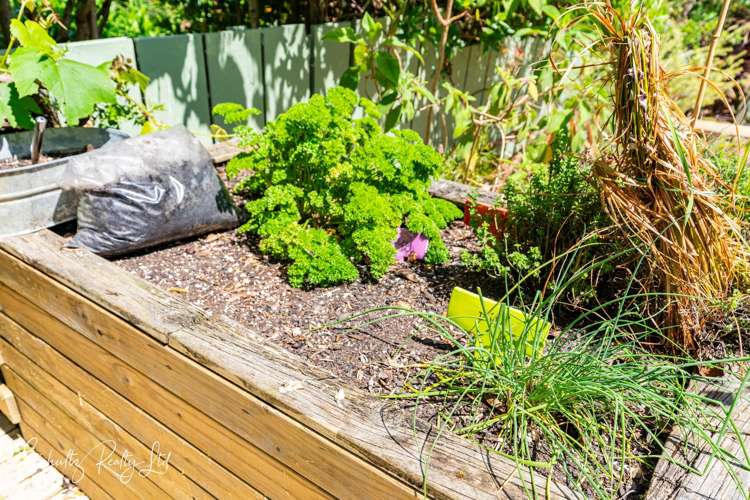 5A Whaka Street Maungaturoto_18