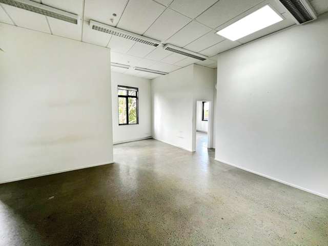 483 Richmond Road Grey Lynn_2