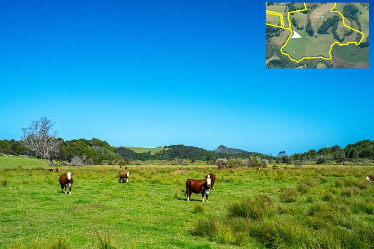 Telfer Road Parua Bay_32