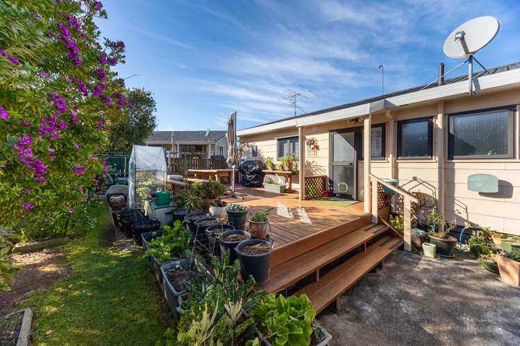 83 Queens Road Waikanae Beach_12