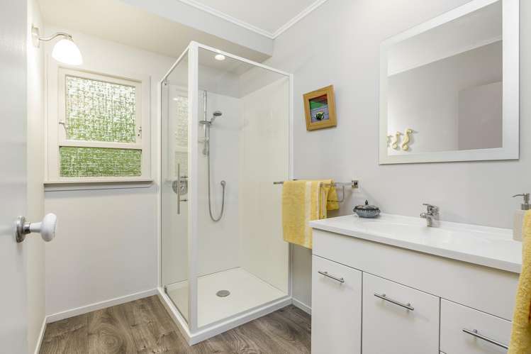 44 Taupo Street Green Bay_11