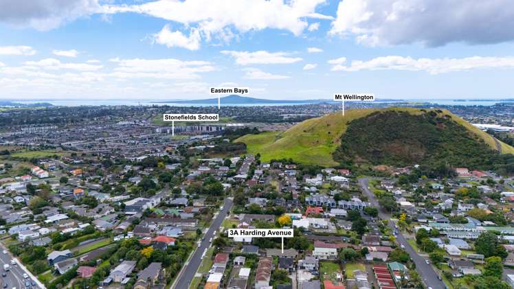 3a Harding Avenue Mount Wellington_15
