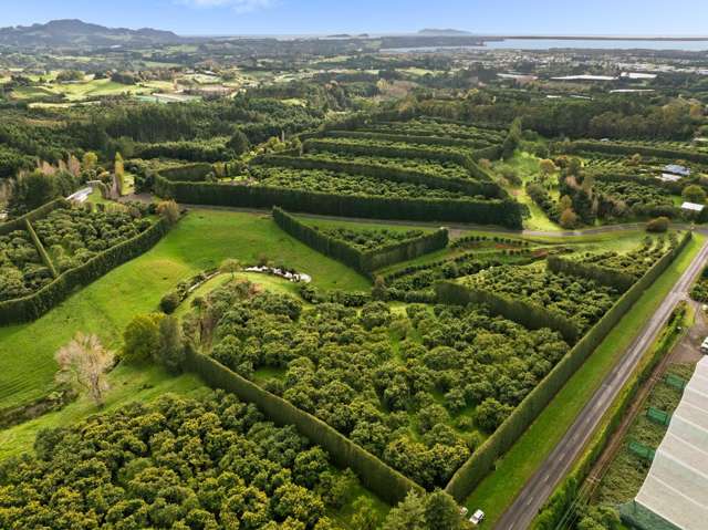 222 Wharawhara Road Katikati_4