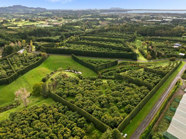 222 Wharawhara Road_4