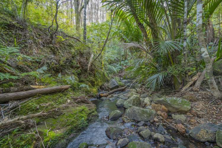 7 Tironui Place Whitianga_11