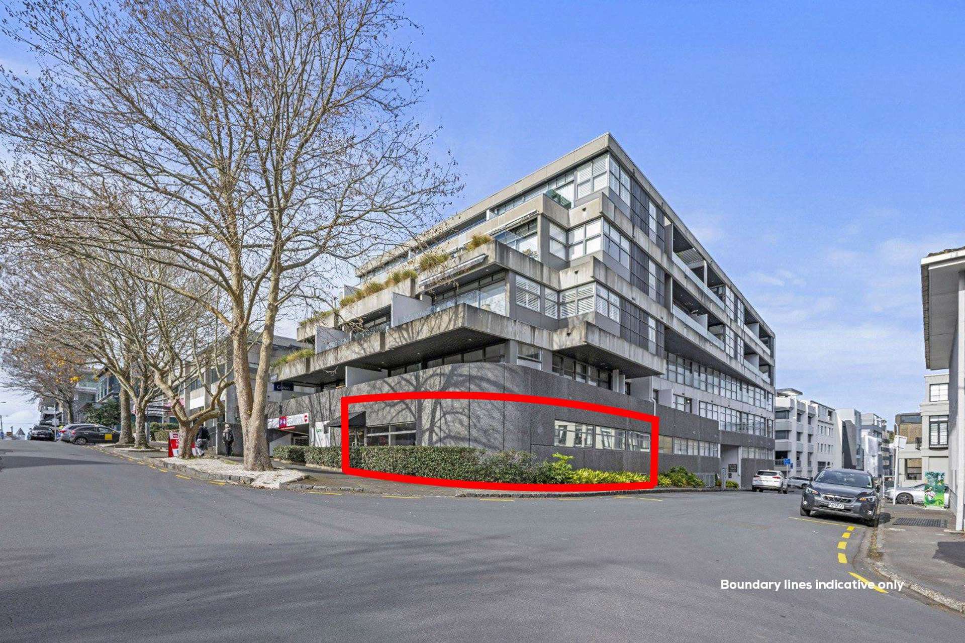 8 Heather Street Parnell_0