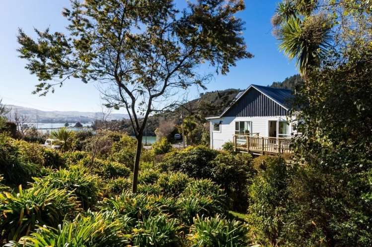 156 Doctors Point Road Waitati_1