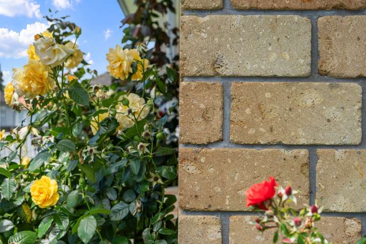 3/241 Mangapiko Street Te Awamutu_16