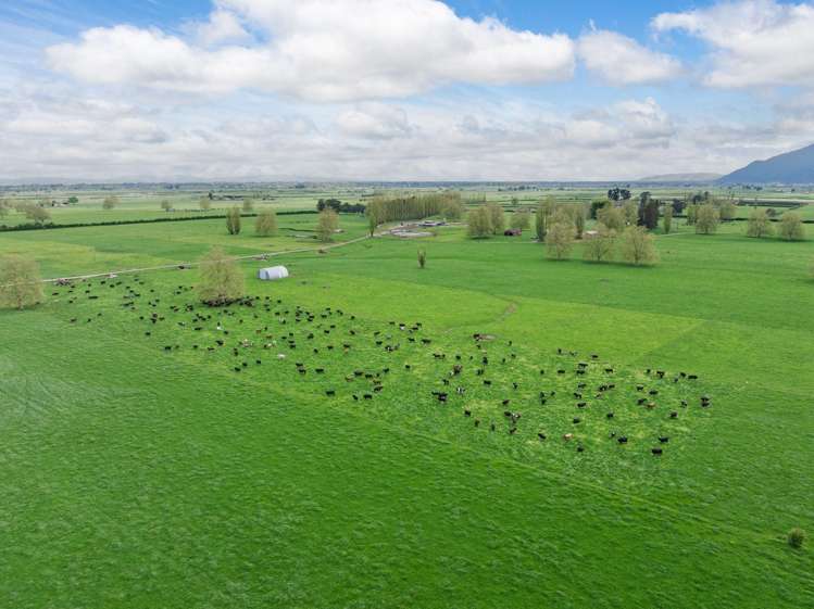 131 School Road Te Aroha_13