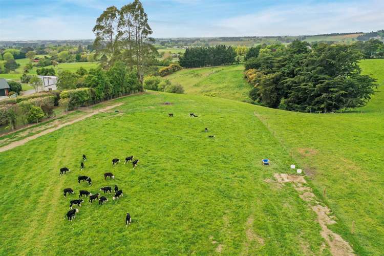 Garlands Road Waimate_10