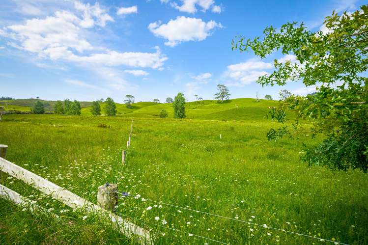 515 Kahikatea Flat Road Waitoki_44