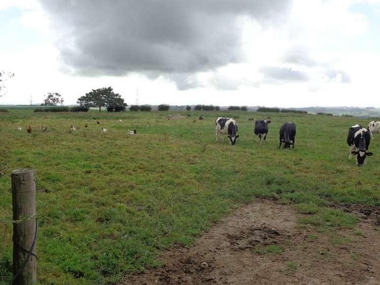 239 Roberts Road Cambridge_5