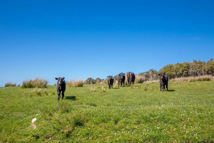 220 Quartz Range Road Bainham_6