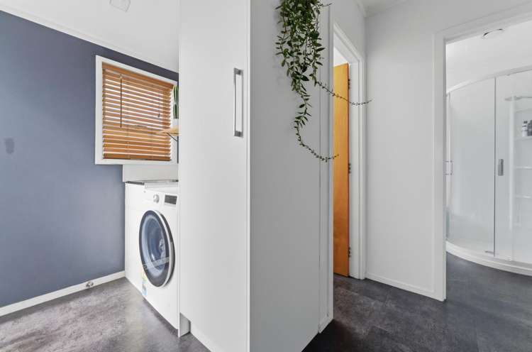 327 Carrington Street Vogeltown_21