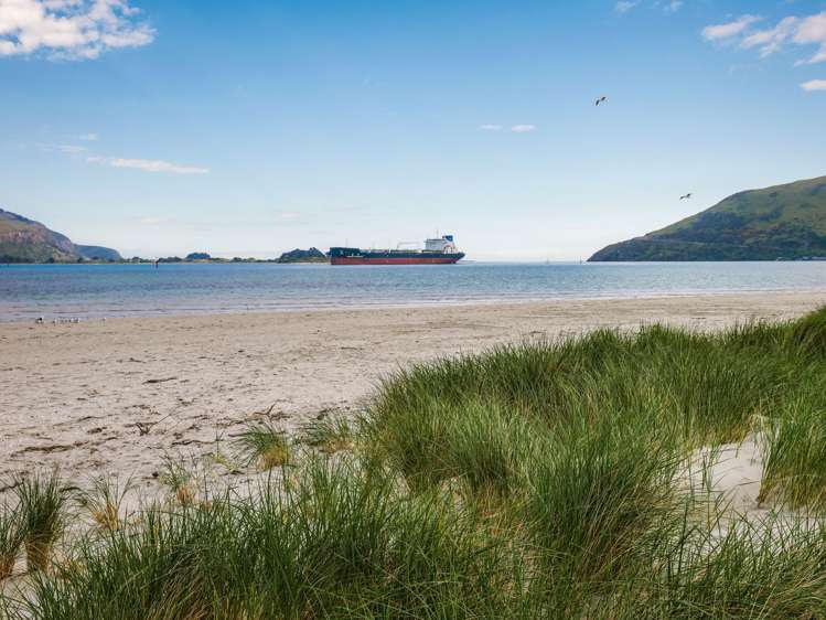 865a Harington Point Road Harington Point_16