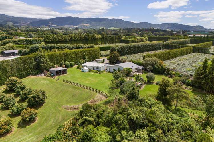 63A Rea Road Katikati_29