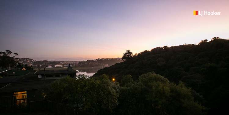 106 Scott Street Waverley_19