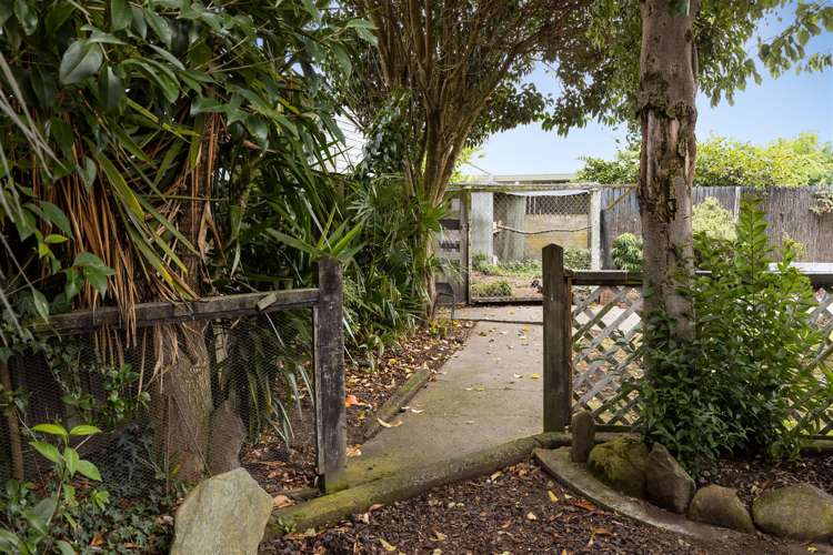 44 Brydon Street Renwick_31