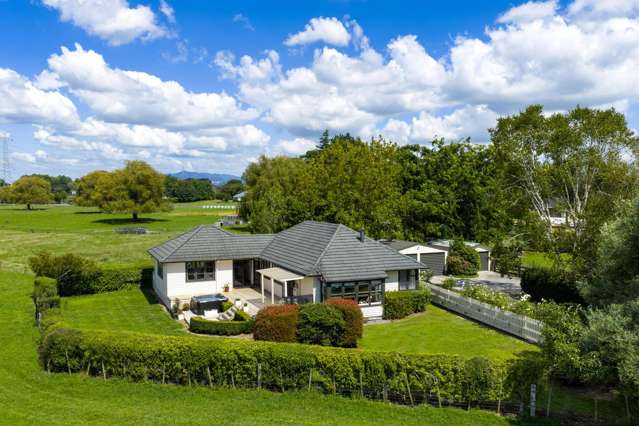 Entry Level Lifestyle