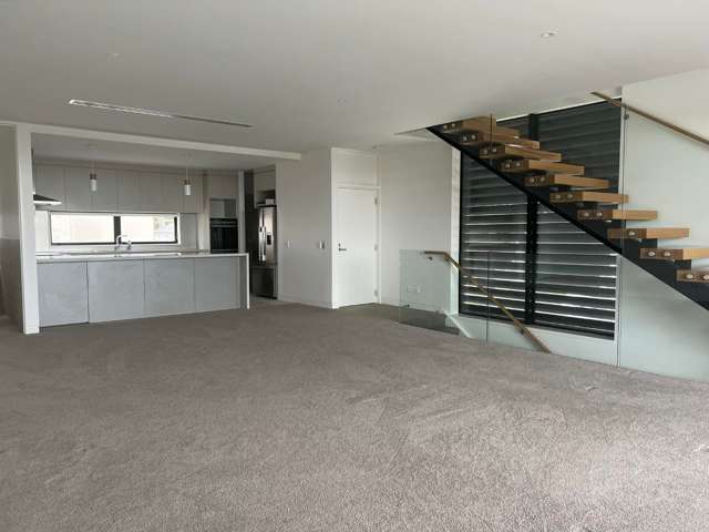 2c The Terrace Takapuna_4