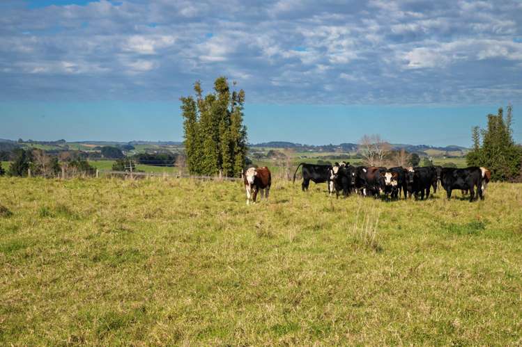 362 Grahams Beach Road Manukau Heads_6
