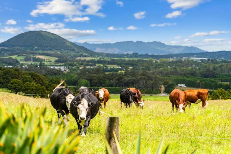 992 State Highway 14_2