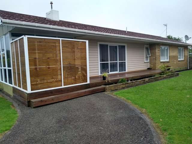 50 Wilton Street Levin_1