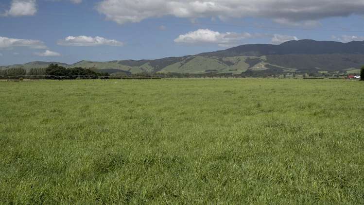 215a Wairio Road Featherston_7