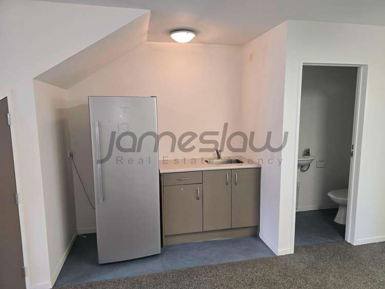 Ground Floor/241R Rosedale Road Albany_4