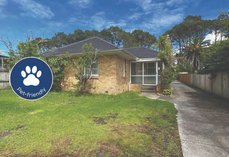 163 Portage Road New Lynn_0